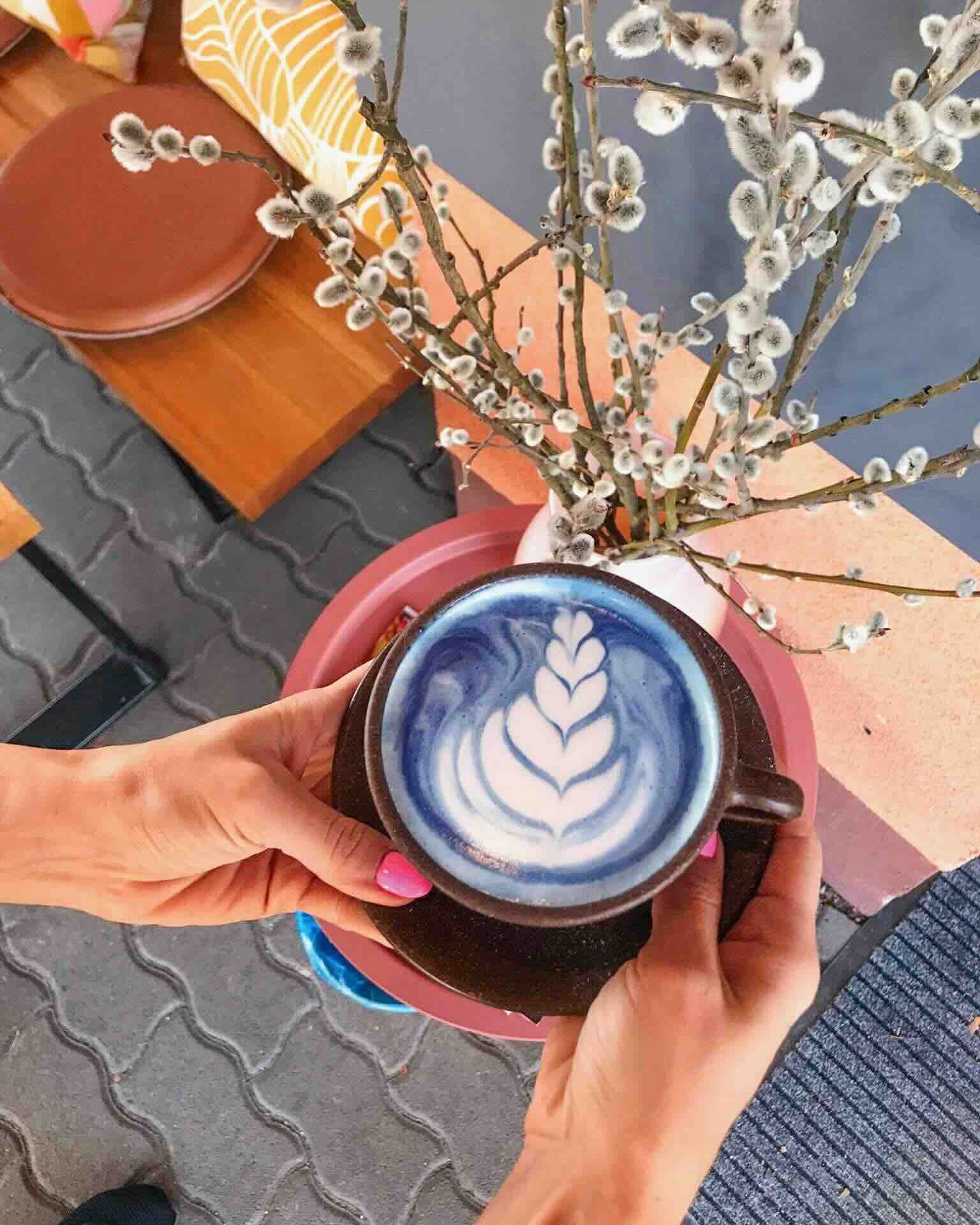 Butterfly Pea Latte – The Naturally Blue Latte