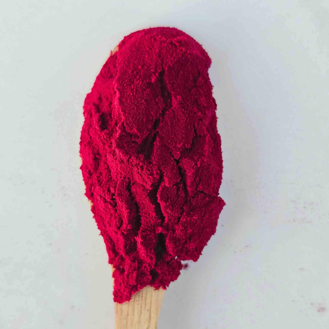 Black Carrot Powder in a wooden spoon showing its natural burgundy-purple colour